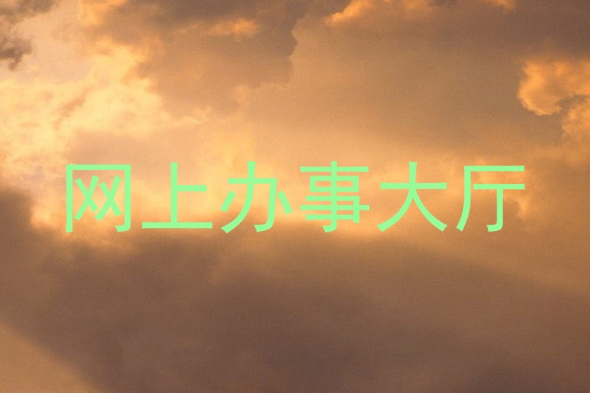 网上办事大厅