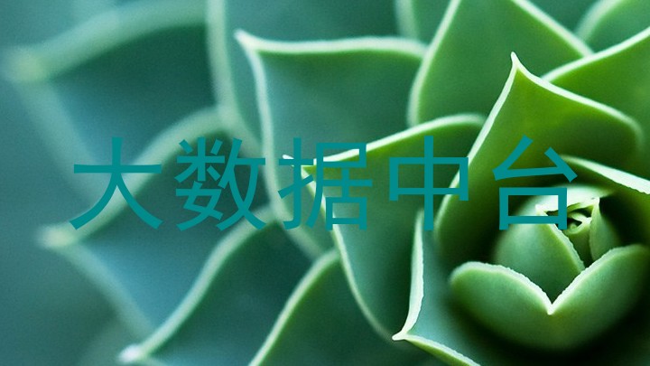 大数据中台