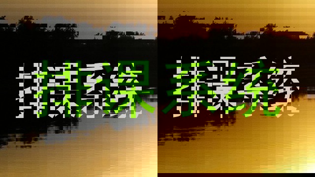 排课系统