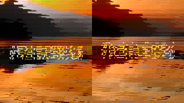 研究生信息管理系统