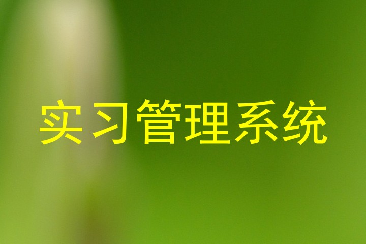 实习管理系统