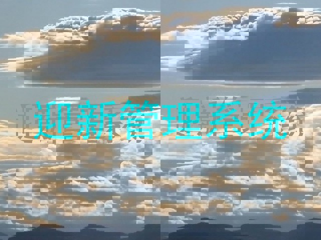 迎新管理系统