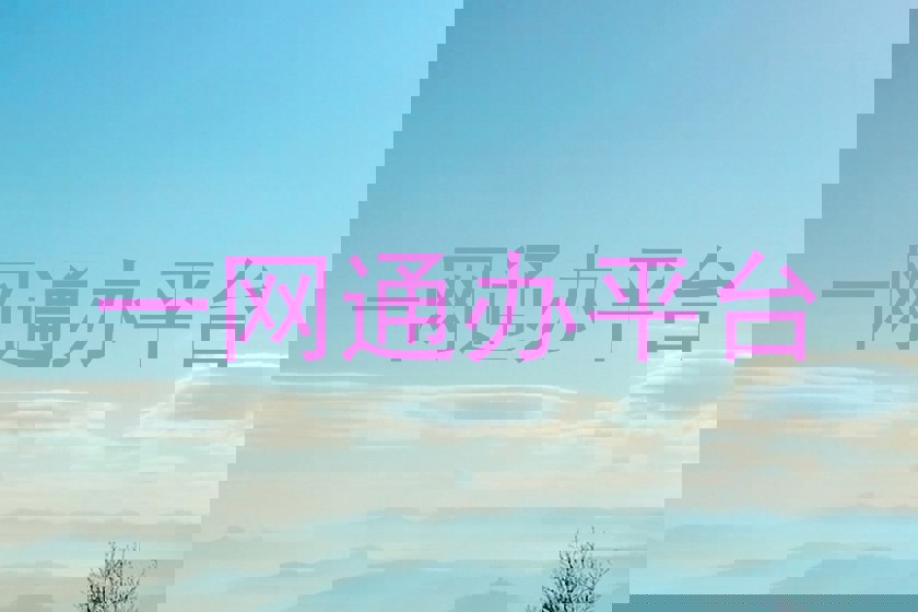 一网通办平台