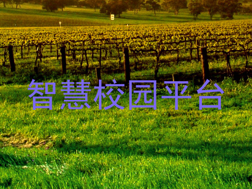 智慧校园平台