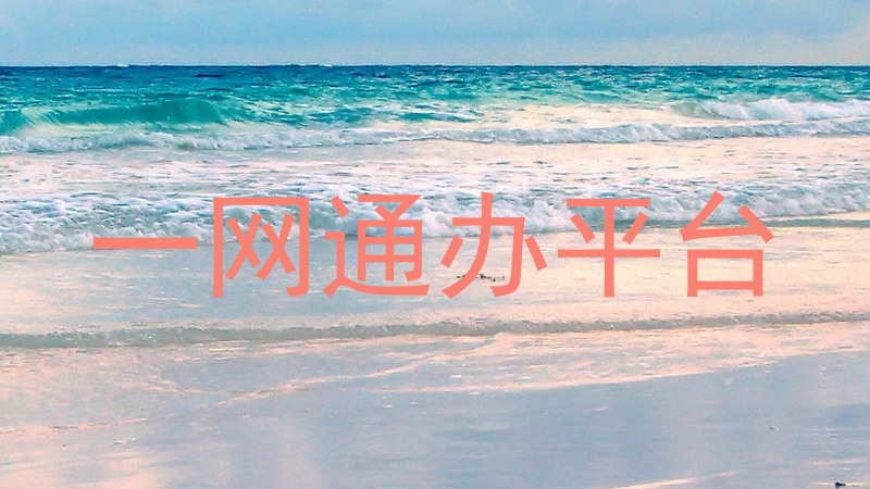 一网通办平台