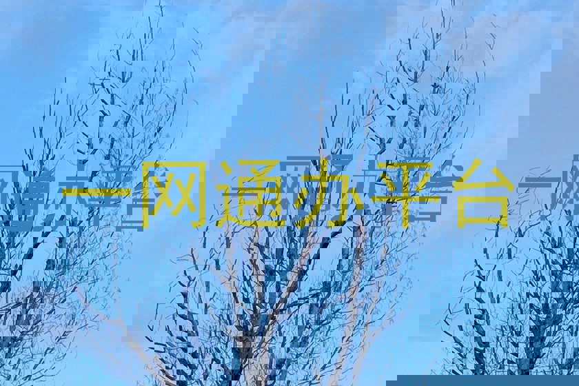 一网通办平台