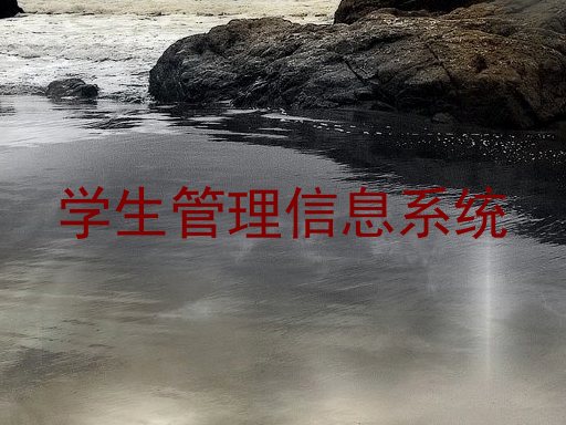 学生管理信息系统