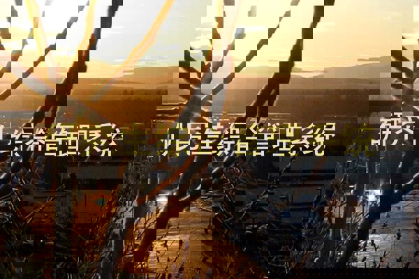 研究生综合管理系统