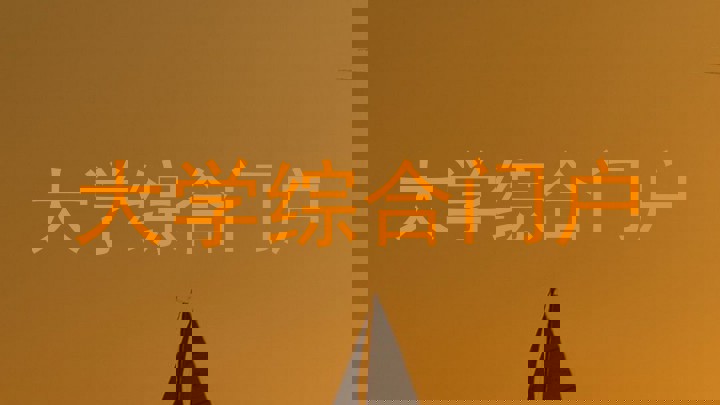 大学综合门户