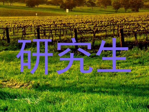研究生
