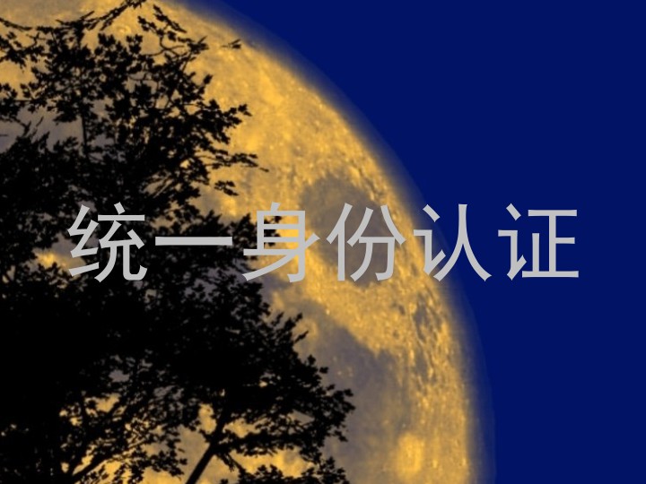 统一身份认证