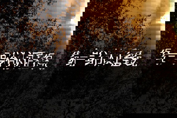 统一身份认证系统