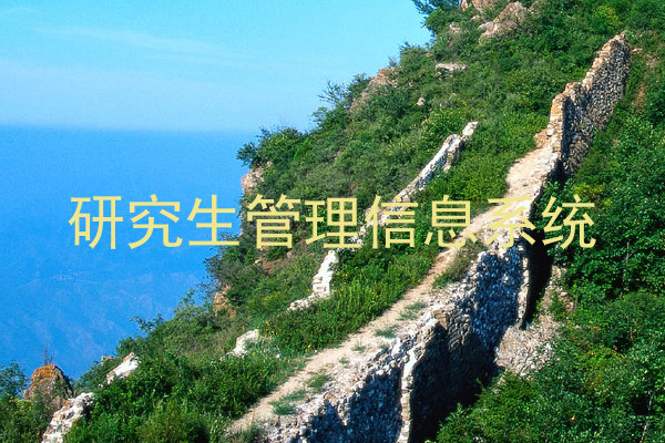 研究生管理信息系统