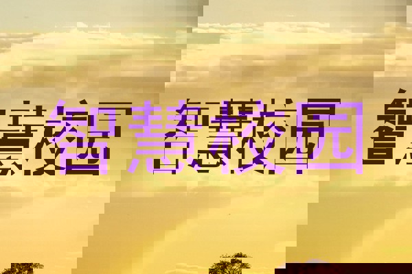 智慧校园