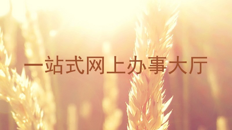 一站式网上办事大厅
