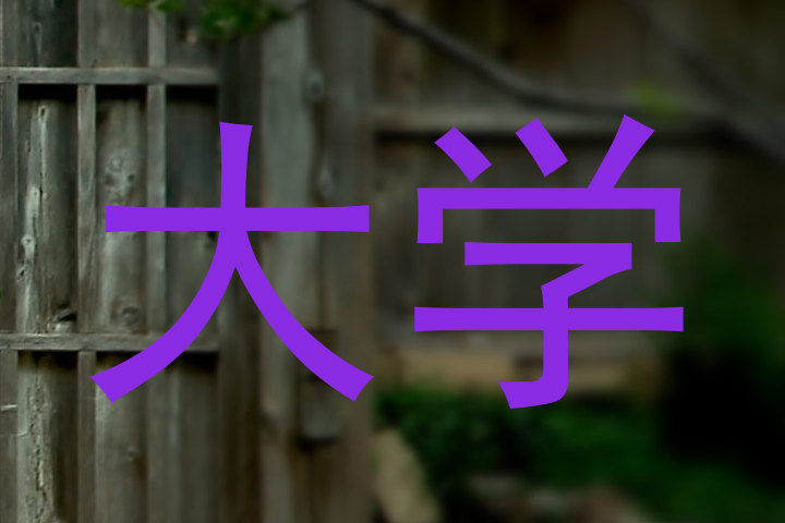 大学