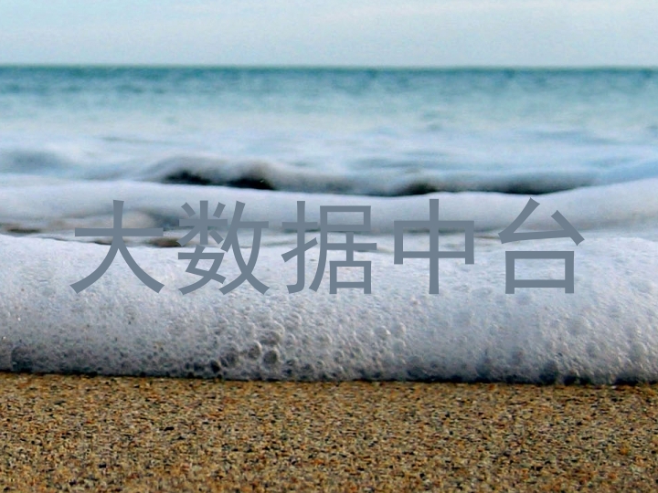 大数据中台