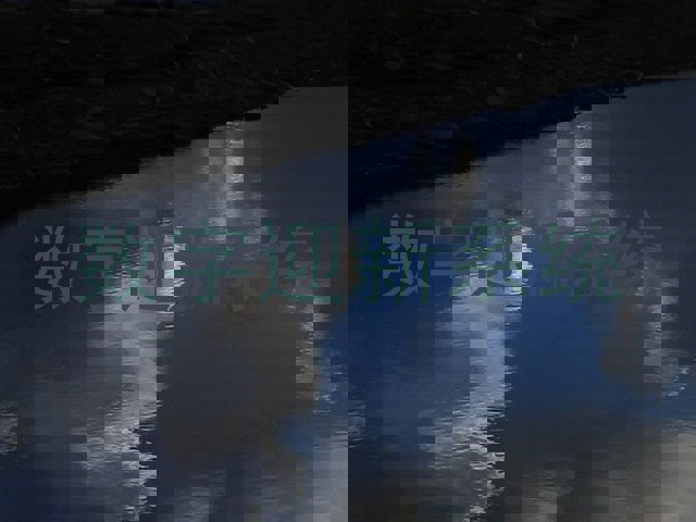 数字迎新系统