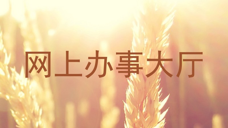 网上办事大厅