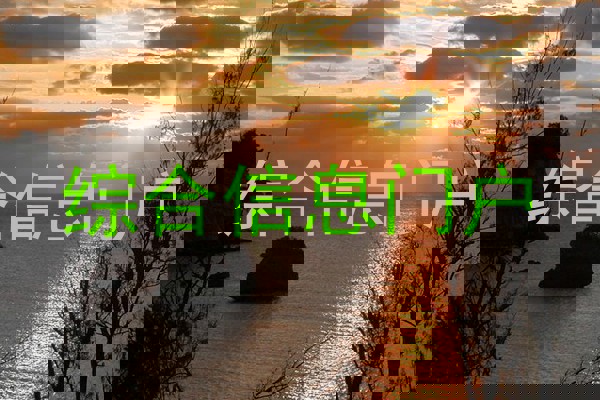 综合信息门户