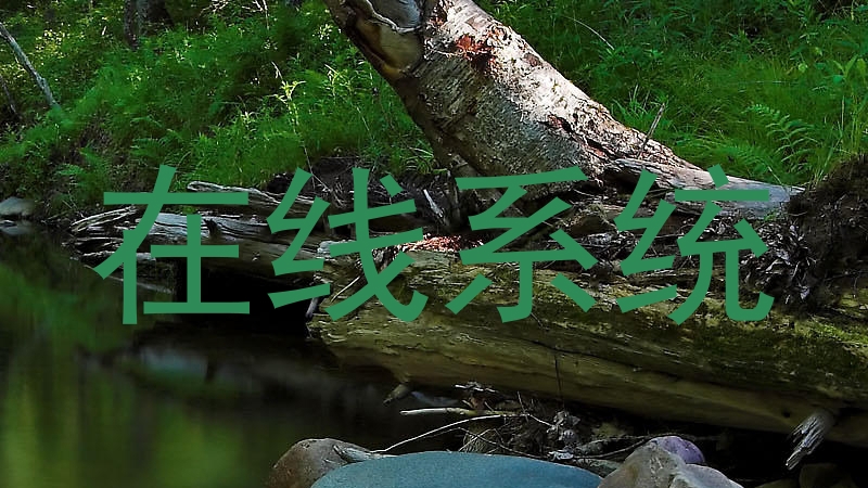 在线系统