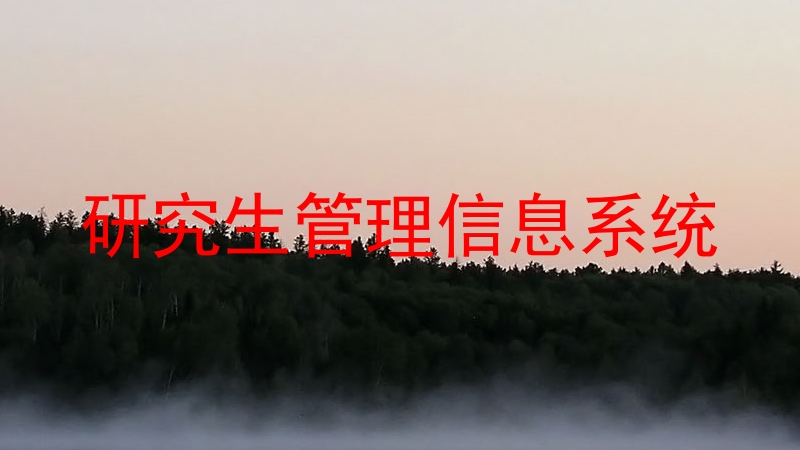 研究生管理信息系统