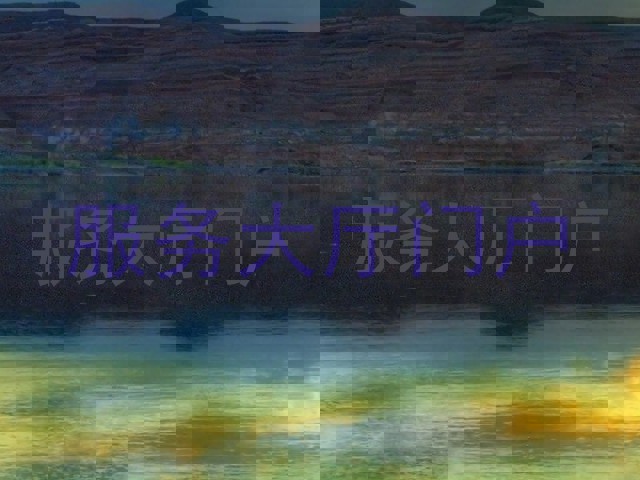 服务大厅门户