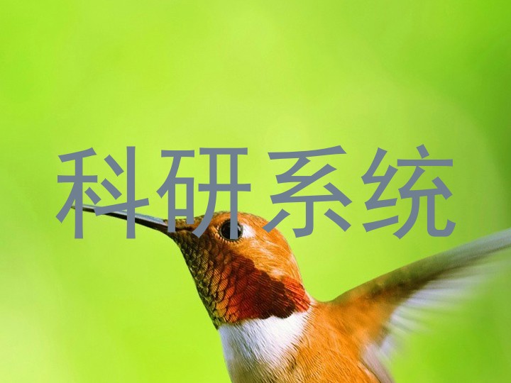 科研系统