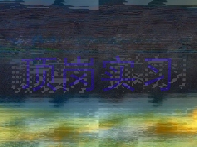 顶岗实习