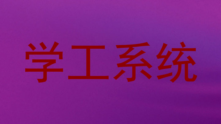 学工系统
