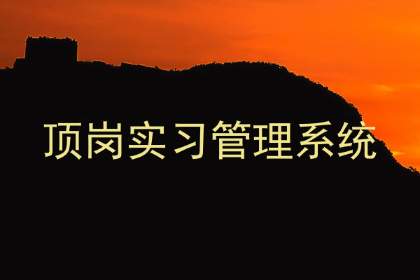顶岗实习管理系统