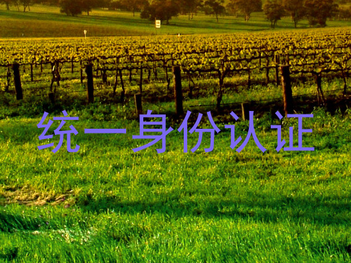 统一身份认证