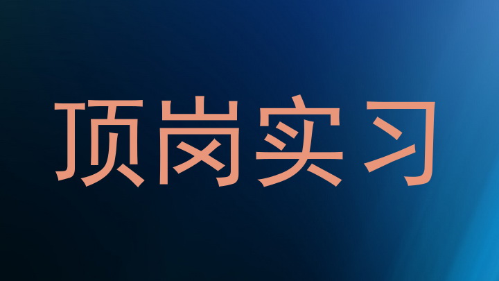 顶岗实习