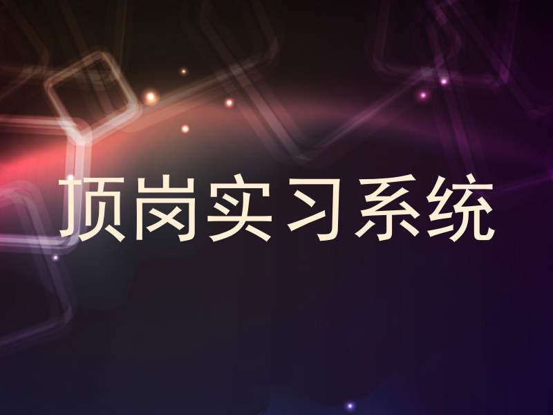 顶岗实习系统