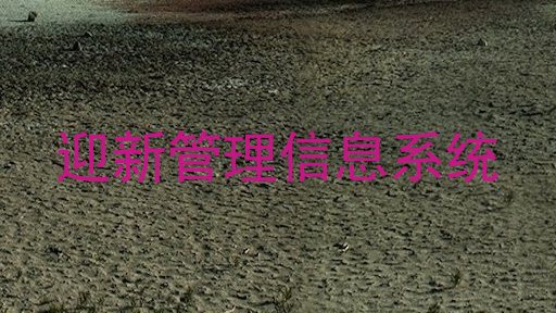 迎新管理信息系统