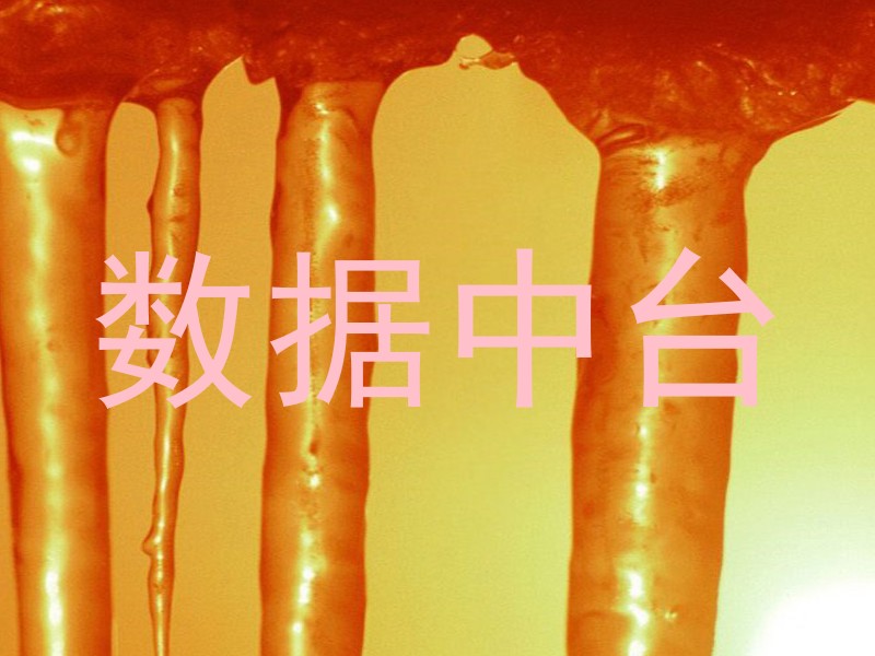 数据中台