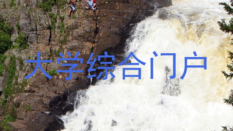 大学综合门户