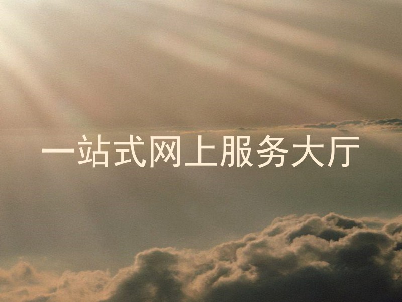 一站式网上服务大厅
