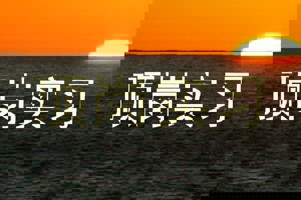 顶岗实习