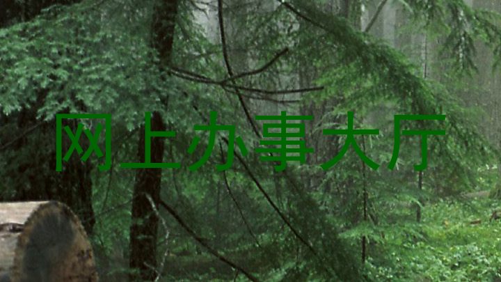 网上办事大厅