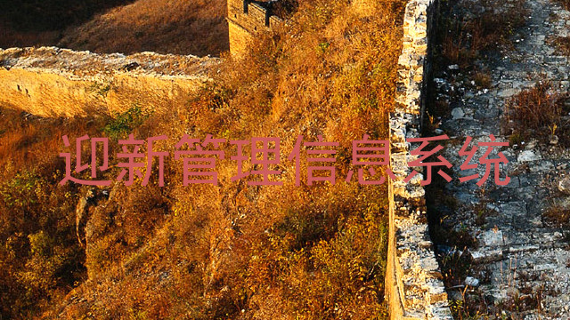 迎新管理信息系统