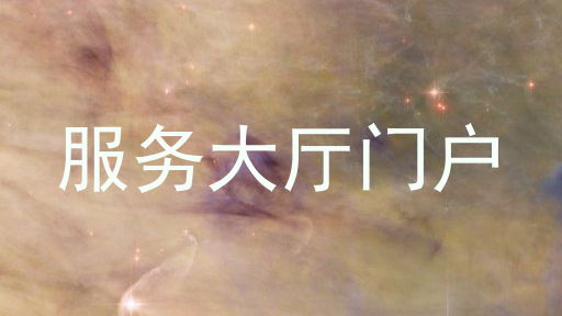 服务大厅门户