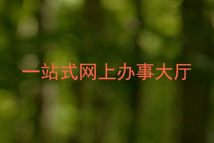 一站式网上办事大厅