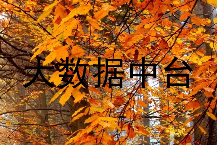 大数据中台