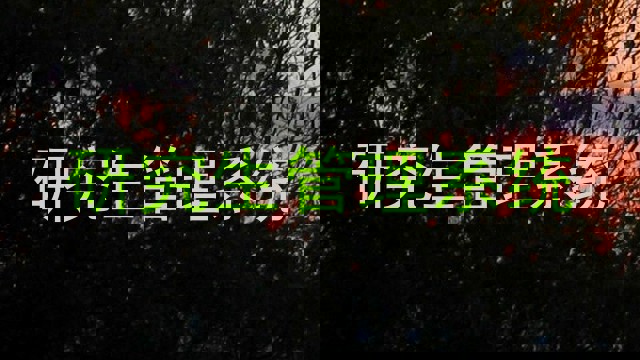 研究生管理系统
