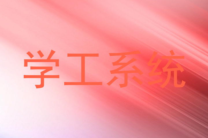 学工系统