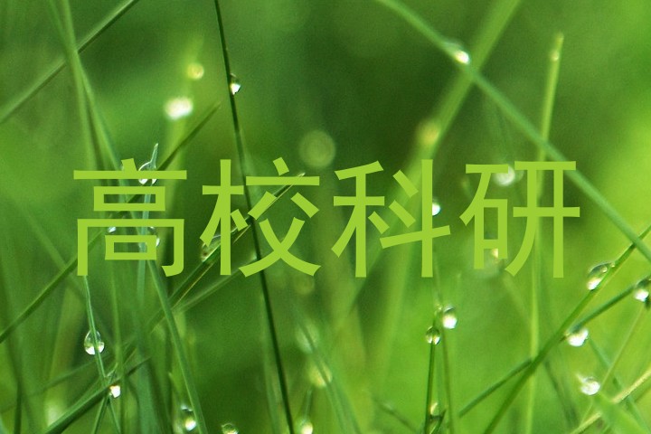 高校科研