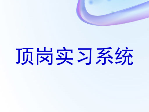 顶岗实习系统
