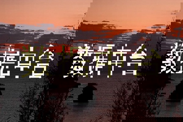 数据中台