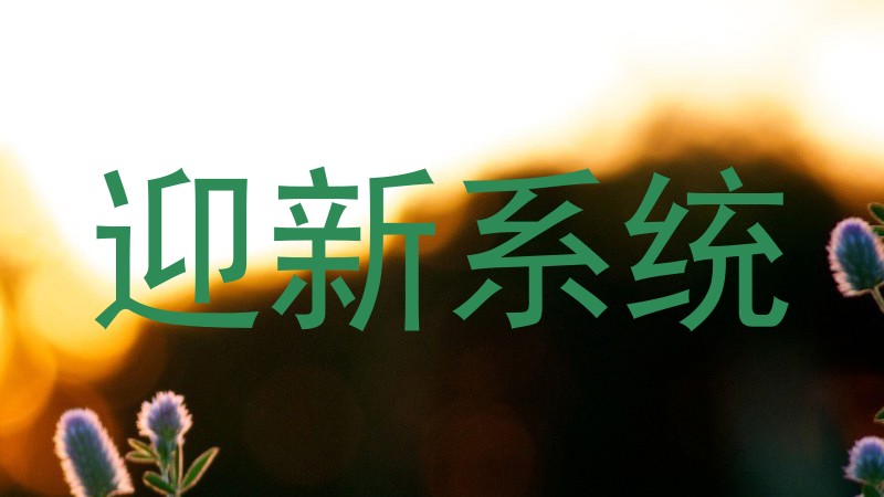 迎新系统